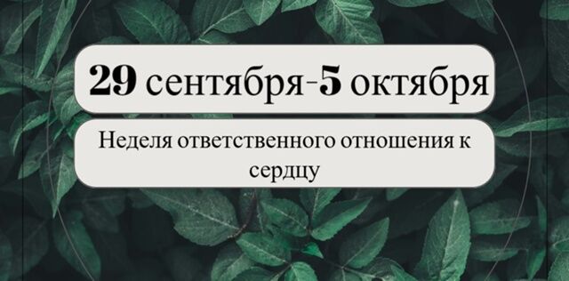 olfe eSagtD5akGFxNKqSiRN4DfCtIO3sArw tVEjoJwUdsSpv00nY ViAjhXdWoTRq3DMnAu2aucK6JbgNCIG32