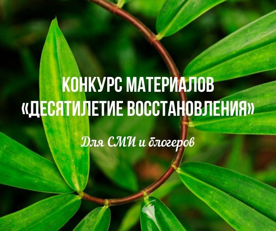 uPqTV1tVtak