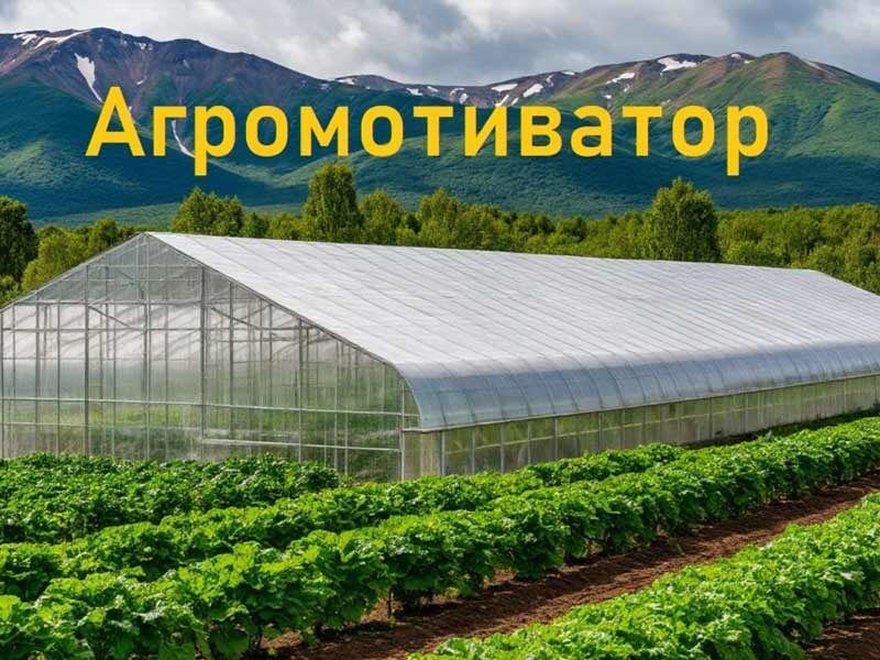 господдержка