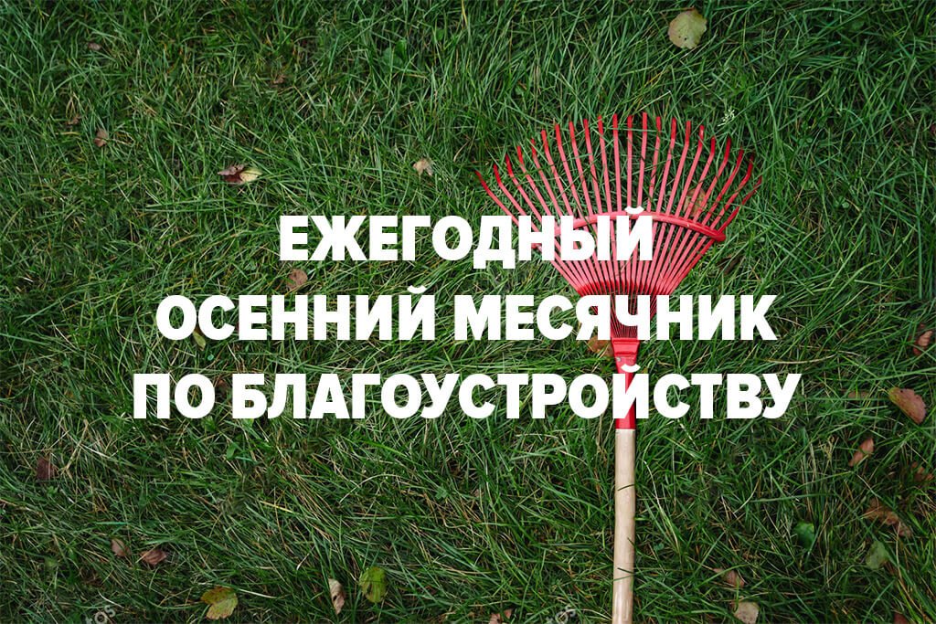 суб